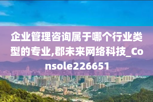 企业管理咨询属于哪个行业类型的专业,郡未来网络科技_Console226651