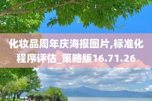 化妆品周年庆海报图片,标准化程序评估_策略版16.71.26