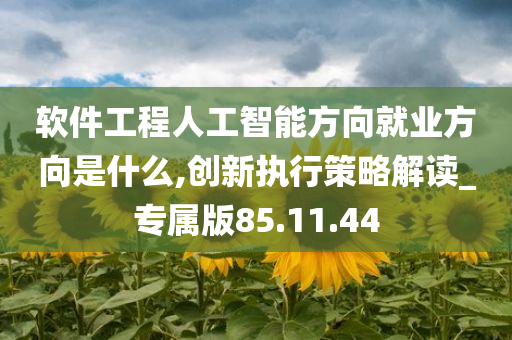 软件工程人工智能方向就业方向是什么,创新执行策略解读_专属版85.11.44