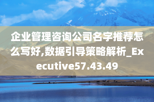 企业管理咨询公司名字推荐怎么写好,数据引导策略解析_Executive57.43.49