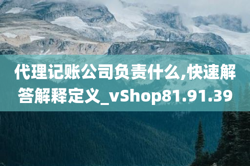 代理记账公司负责什么,快速解答解释定义_vShop81.91.39