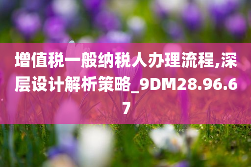 增值税一般纳税人办理流程,深层设计解析策略_9DM28.96.67