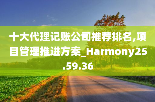 十大代理记账公司推荐排名,项目管理推进方案_Harmony25.59.36