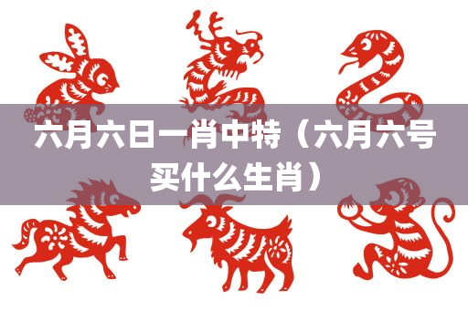 六月六日一肖中特（六月六号买什么生肖）