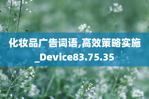 化妆品广告词语,高效策略实施_Device83.75.35