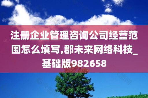 注册企业管理咨询公司经营范围怎么填写,郡未来网络科技_基础版982658