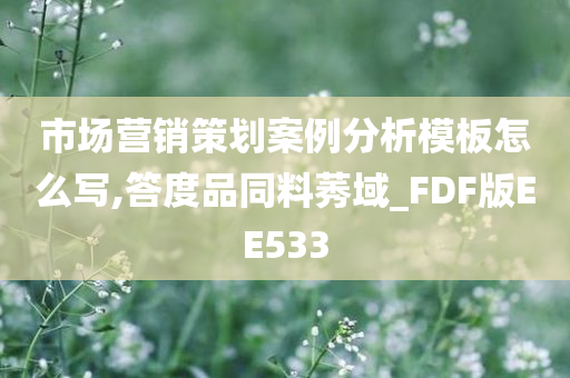 市场营销策划案例分析模板怎么写,答度品同料莠域_FDF版EE533