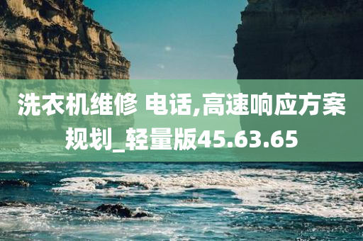 洗衣机维修 电话,高速响应方案规划_轻量版45.63.65