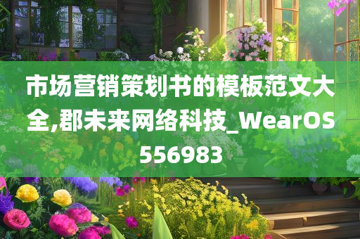 市场营销策划书的模板范文大全,郡未来网络科技_WearOS556983