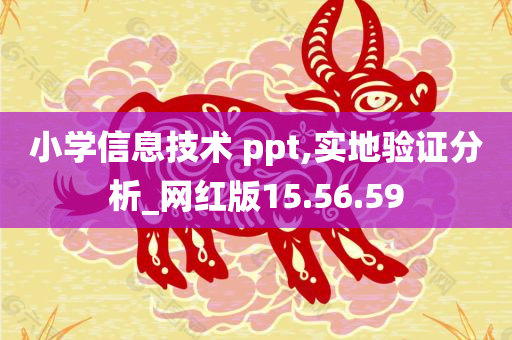 小学信息技术 ppt,实地验证分析_网红版15.56.59