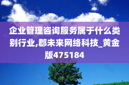 企业管理咨询服务属于什么类别行业,郡未来网络科技_黄金版475184