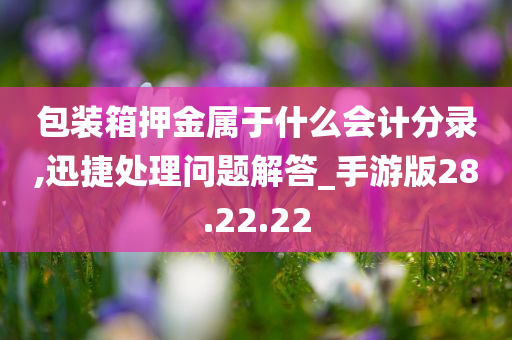 包装箱押金属于什么会计分录,迅捷处理问题解答_手游版28.22.22