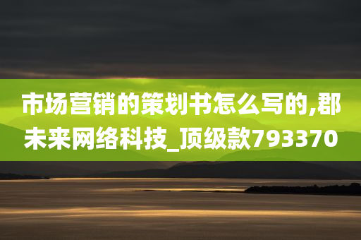 市场营销的策划书怎么写的,郡未来网络科技_顶级款793370