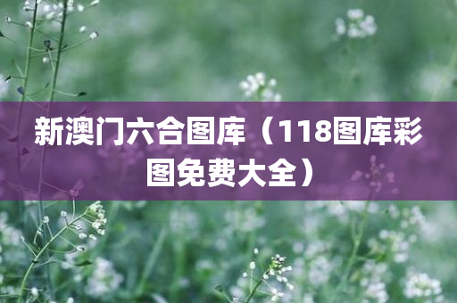 新澳门六合图库（118图库彩图免费大全）