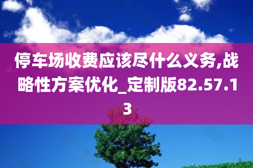 停车场收费应该尽什么义务,战略性方案优化_定制版82.57.13