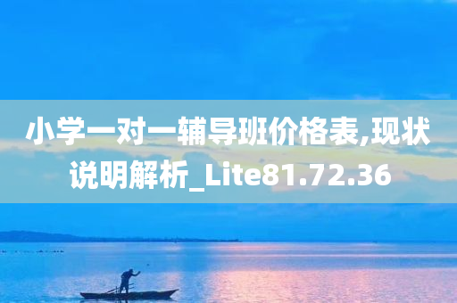 小学一对一辅导班价格表,现状说明解析_Lite81.72.36