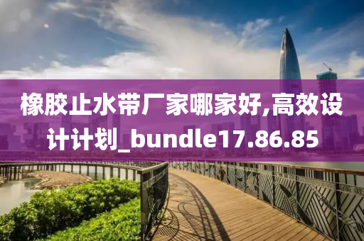 橡胶止水带厂家哪家好,高效设计计划_bundle17.86.85