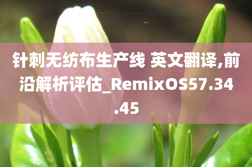 针刺无纺布生产线 英文翻译,前沿解析评估_RemixOS57.34.45