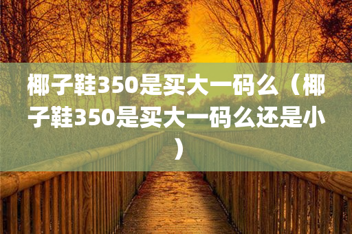 椰子鞋350是买大一码么（椰子鞋350是买大一码么还是小）