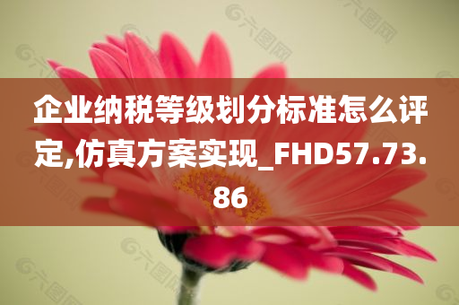 企业纳税等级划分标准怎么评定,仿真方案实现_FHD57.73.86