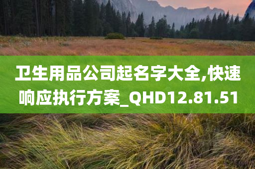 卫生用品公司起名字大全,快速响应执行方案_QHD12.81.51