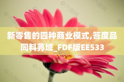 新零售的四种商业模式,答度品同料莠域_FDF版EE533