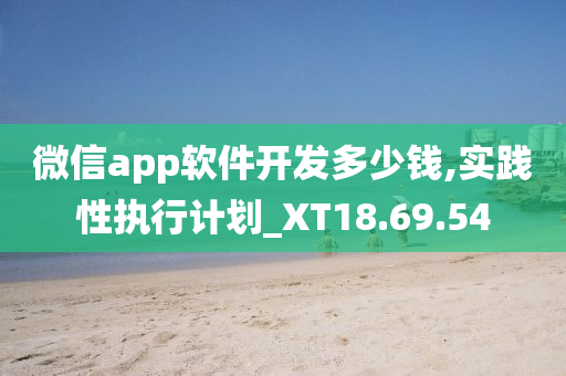 微信app软件开发多少钱,实践性执行计划_XT18.69.54