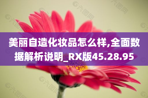 美丽自造化妆品怎么样,全面数据解析说明_RX版45.28.95