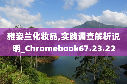 雅姿兰化妆品,实践调查解析说明_Chromebook67.23.22