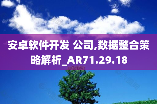 安卓软件开发 公司,数据整合策略解析_AR71.29.18