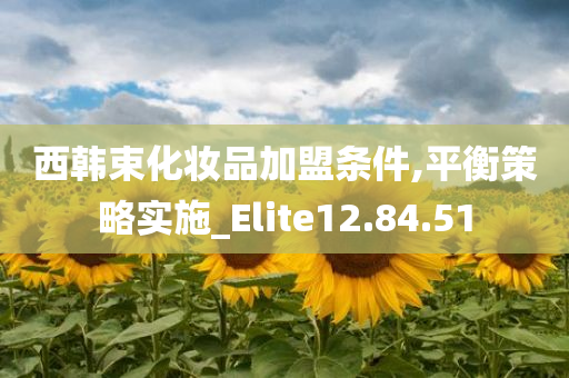 西韩束化妆品加盟条件,平衡策略实施_Elite12.84.51