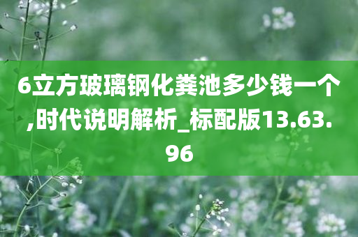 6立方玻璃钢化粪池多少钱一个,时代说明解析_标配版13.63.96