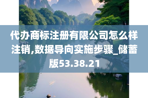 代办商标注册有限公司怎么样注销,数据导向实施步骤_储蓄版53.38.21