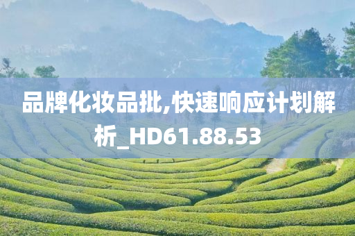 品牌化妆品批,快速响应计划解析_HD61.88.53