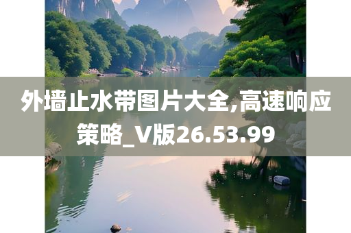 外墙止水带图片大全,高速响应策略_V版26.53.99