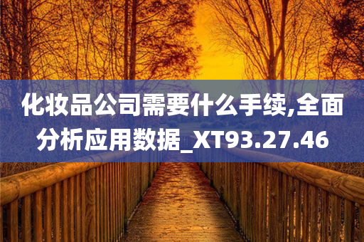 化妆品公司需要什么手续,全面分析应用数据_XT93.27.46