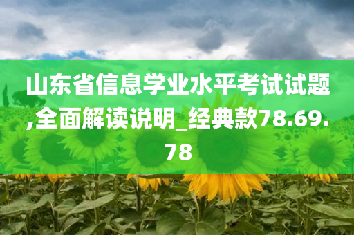 山东省信息学业水平考试试题,全面解读说明_经典款78.69.78