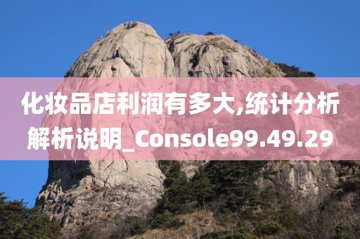 化妆品店利润有多大,统计分析解析说明_Console99.49.29