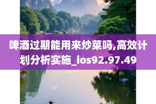 啤酒过期能用来炒菜吗,高效计划分析实施_ios92.97.49