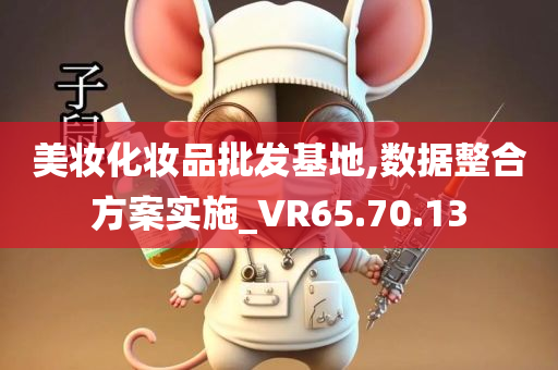 美妆化妆品批发基地,数据整合方案实施_VR65.70.13