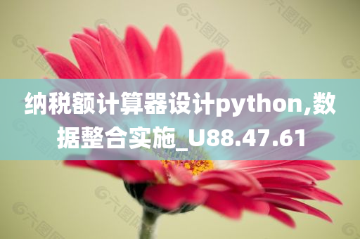 纳税额计算器设计python,数据整合实施_U88.47.61