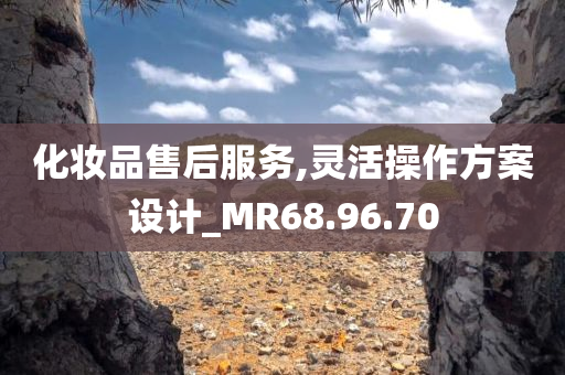 化妆品售后服务,灵活操作方案设计_MR68.96.70