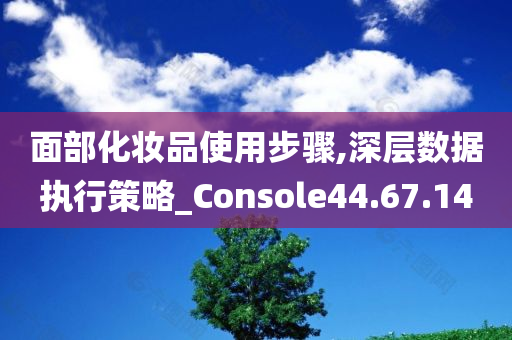 面部化妆品使用步骤,深层数据执行策略_Console44.67.14