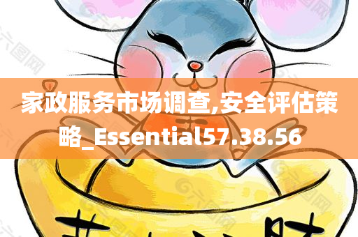 家政服务市场调查,安全评估策略_Essential57.38.56