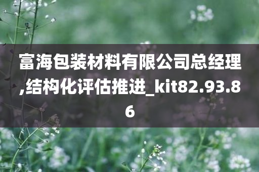 富海包装材料有限公司总经理,结构化评估推进_kit82.93.86