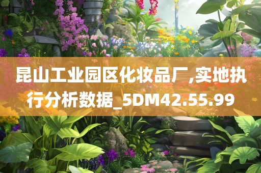 昆山工业园区化妆品厂,实地执行分析数据_5DM42.55.99