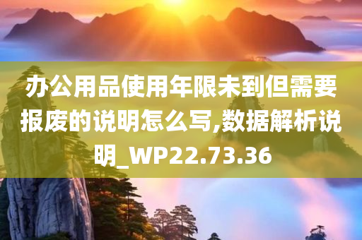 办公用品使用年限未到但需要报废的说明怎么写,数据解析说明_WP22.73.36