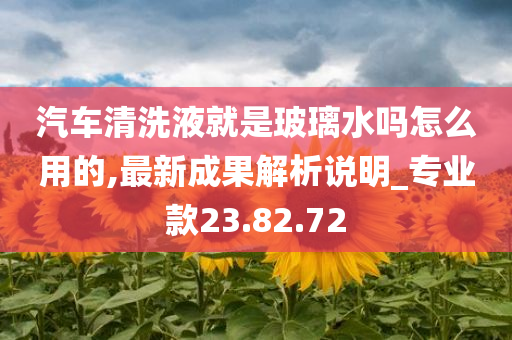 汽车清洗液就是玻璃水吗怎么用的,最新成果解析说明_专业款23.82.72