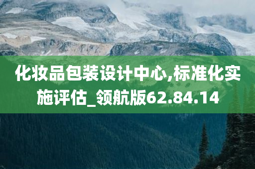 化妆品包装设计中心,标准化实施评估_领航版62.84.14