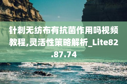 针刺无纺布有抗菌作用吗视频教程,灵活性策略解析_Lite82.87.74